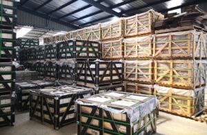 Logistics team ensuring efficient supply chain management